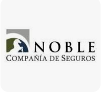 NOBLE SEGUROS